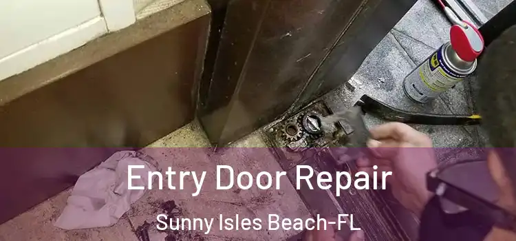 Entry Door Repair Sunny Isles Beach-FL