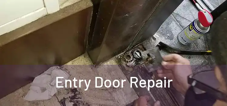 Entry Door Repair